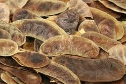 Manufacturers Exporters and Wholesale Suppliers of senna pods Chennai Tamil Nadu